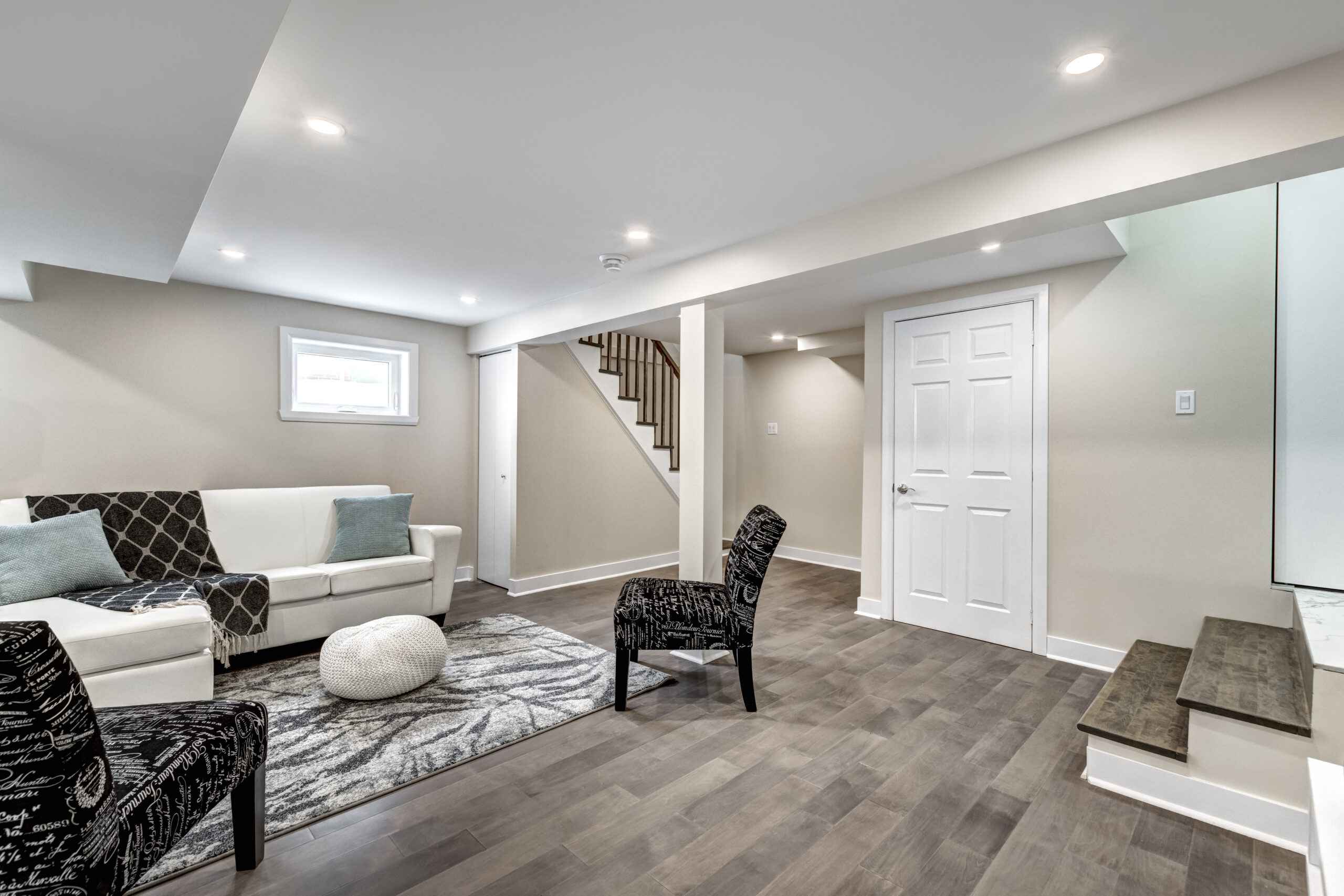 Basement Renovation (2)